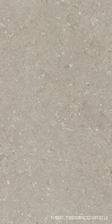 Shellstone Taupe 60x120