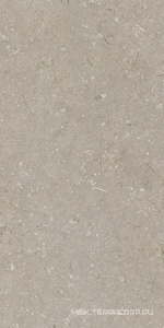 Керамогранит для пола и стены Dado Ceramica Shellstone  Taupe 60x120 005468