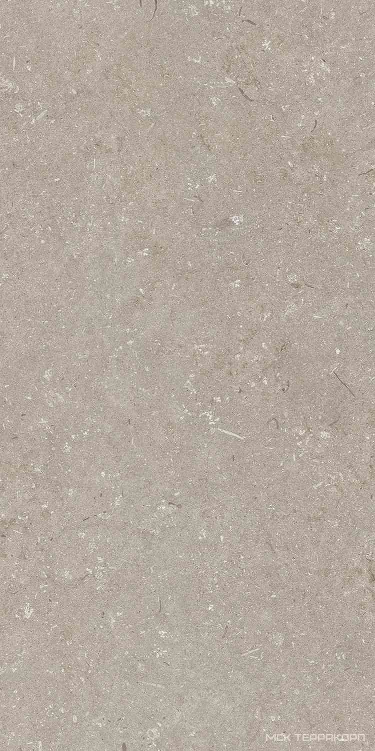 Shellstone Taupe 60x120