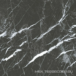 Marona black  80x80