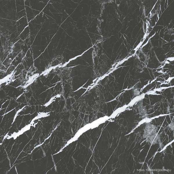 Marona black  80x80