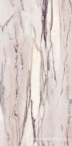 Керамогранит для пола и стены Sant Agostino Star  Marble Purple 60120 (п.п.) 60x120 CSASMPUN12