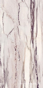 Керамогранит для пола и стены Sant Agostino Star  Marble Purple 60120 (п.п.) 60x120 CSASMPUN12
