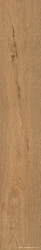 Roots Gold 20x120