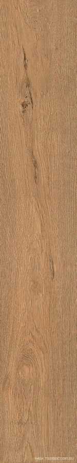 Roots Gold 20x120