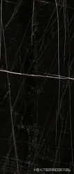 TREX6 278N LP (п.п.) ZZ 120x278