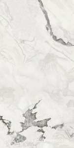 Керамогранит для пола и стены AtlasConcorde Россия FORTE DEI MARMI QUARK F.d.M.Quark Oyster Wh. Rett 60x120 Cer/Ф.Д.М.Кварк Ойстер Ва. Рет 60Х120 Пат 610015000698