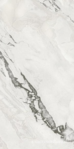 Керамогранит для пола и стены AtlasConcorde Россия FORTE DEI MARMI QUARK F.d.M.Quark Oyster Wh. Rett 60x120 Cer/Ф.Д.М.Кварк Ойстер Ва. Рет 60Х120 Пат 610015000698