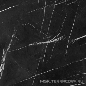 Керамогранит для пола и стены Гранитея Neiva/Нейва Neiva Black/Нейва G395 черный полированный 60x60 G395PR