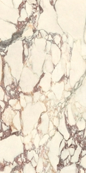 Calacatta Viola Luc 60x120