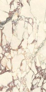 Керамогранит для пола и стены Ariostea Marmi Classici Calacatta Viola Luc 60x120 PL612671