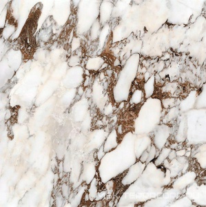 Керамогранит для пола и стены Florim Magnum Les Bijoux De Rex Bijoux Breche Capraia Glossy 120x120 765762