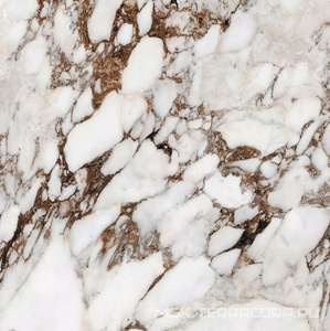 Керамогранит для пола и стены Florim Magnum Les Bijoux De Rex Bijoux Breche Capraia Glossy 120x120 765762