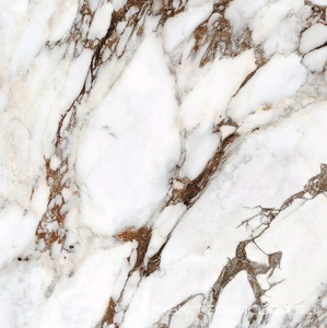 Керамогранит для пола и стены Florim Magnum Les Bijoux De Rex Bijoux Breche Capraia Glossy 120x120 765762