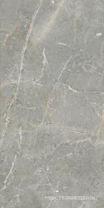 Керамогранит для пола и стены APE Ceramica Augustus  Grey Natural rect 60x120 A039602