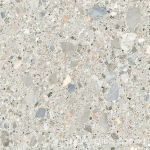 Керамогранит для пола и стены Pamesa Pietra Di Gre Antic  Multi 120x120 033.120.0558.14015