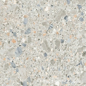 Керамогранит для пола и стены Pamesa Pietra Di Gre Antic  Multi 120x120 033.120.0558.14015