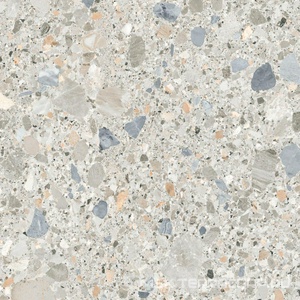 Керамогранит для пола и стены Pamesa Pietra Di Gre Antic  Multi 120x120 033.120.0558.14015