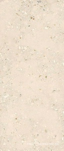 Керамогранит для пола и стены Sant Agostino Logico Cosmo Light nat  120x278 CSACOLI227