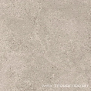 Керамогранит для пола и стены Ariostea Pietre Naturali Portland Greige  60x60 P6708