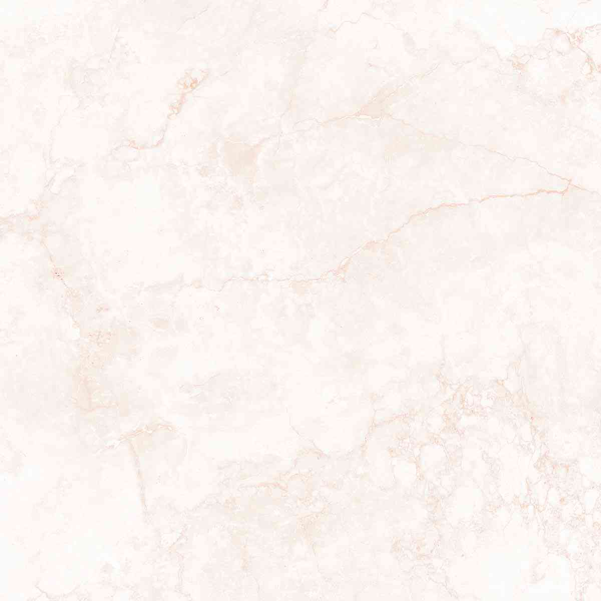 Crema Marfil Antik 120x120