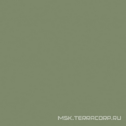 Rainbow RW06 зелёный полир. ZZ 60x60