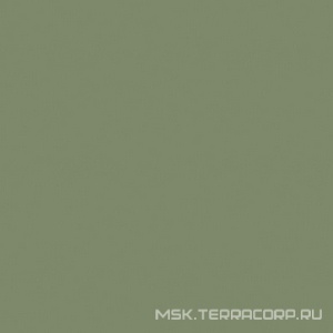 Керамогранит для пола Estima rainbow  RW06 зелёный полир. 60x60 Зеленый 64307