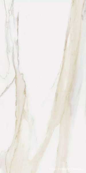 Сalacatta Gold Glossy 60х120