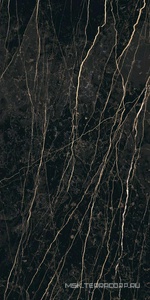 Керамогранит для пола и стены Florim Prexious of Rex Thunder Night Glossy 60x120 755848