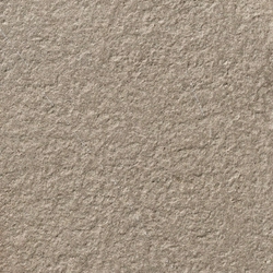 Pietra piasentina satinta ZZ |60x60