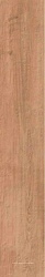 Legno del notaio 2012 B RM (п.п)ZZ |20x120
