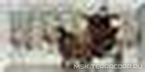 Декор Absolut Keramika Monocolor 10x20 Decor Winter Park 02 10x20 AK0768