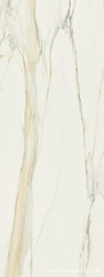 Calacatta Gold Glossy XX 80x240