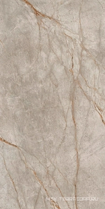 Керамогранит для пола и стены AtlasConcorde Россия EMPIRE Empire Silver Root 80x160 Lapp/ЭМПАИР СИЛЬВЕР РУТ 80x160 ЛАП 610015000603