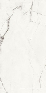 Керамогранит для пола и стены Imola The Room STA VP6 12 RM  60x120 170884