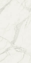 Bianco Statuario Matt Rett (п.п.)ZZ |74x148