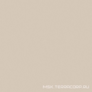 Керамогранит для пола Estima rainbow Грес  01 беж  полир.ZZ 60x60 Бежевый RW01