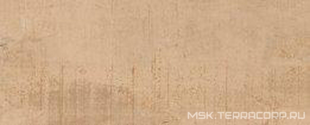 Concorde Miel  XX |20x50