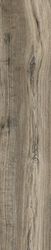 Soft Ash ZZ |20.5x100