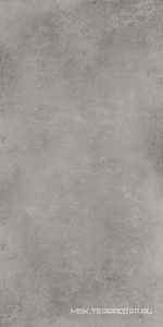 Керамогранит для пола и стены Dado Ceramica Basic  Grey Ret 60x120 303468