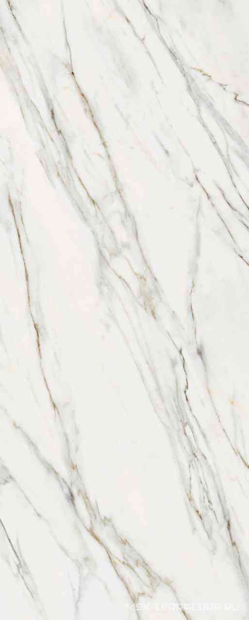 Calacatta Gold ZZ 5,6 120x300
