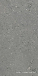 Керамогранит для пола Гранитея arkaim/аркаим Arkaim Grey G213/ серый мат .60x120 Серый G213MR