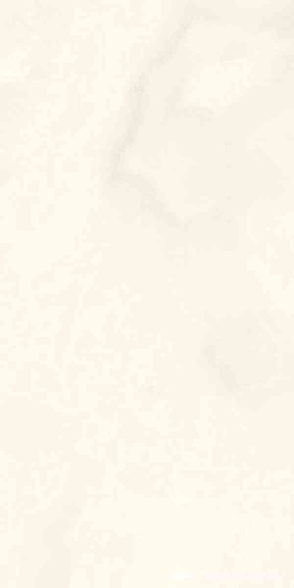 Onice Bianco Extra Lev Silk XX 60x120