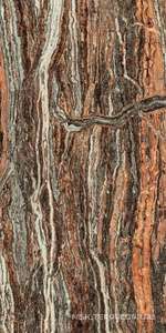 Керамогранит для пола и стены AtlasConcorde Россия EPOS Epos Jurassic RETT 60x120 LAPP/ЭПОС ДЖУРАССИК РЕТ 60x120 ЛАПП 610015000597