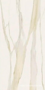 Керамогранит для пола и стены Florim Magnum I Classici di Rex Calacatta Gold Glossy 120x240 750682