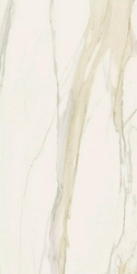 Calacatta Gold Glossy ZZ 120x240
