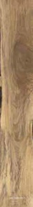 Керамогранит для пола Sadon sherwood  Walnut 24x150 Бежевый J90593