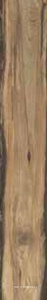 Керамогранит для пола Sadon sherwood  Walnut 24x150 Бежевый J90593