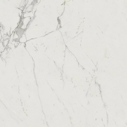 Marvel Calacatta Extra Lappato ZZ 120x120