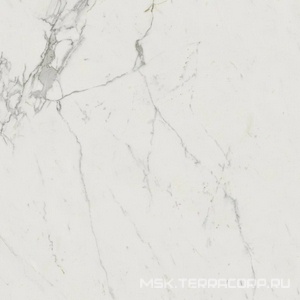 Керамогранит для пола и стены Atlas Concorde Italy Marvel  Calacatta Extra Lappato 120x120 AY2R